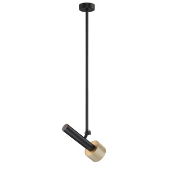 Люстра iLedex Delta 2361-1 BK+BR-2