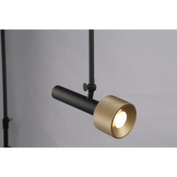 Люстра iLedex Delta 2361-1 BK+BR-3