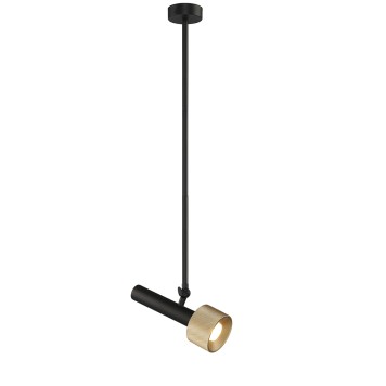 Люстра iLedex Delta 2361-1 BK+BR