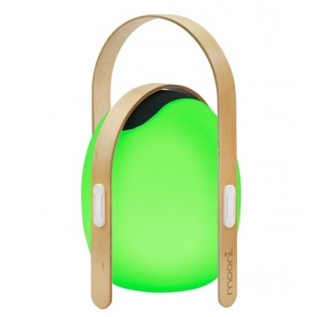 Лампа настольная iLedex Giggle OVS1100-CH WH-1