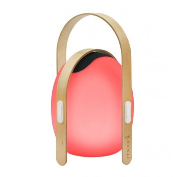 Лампа настольная iLedex Giggle OVS1100-CH WH-4