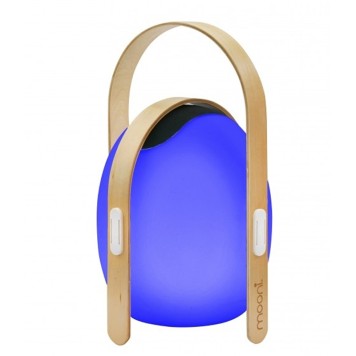 Лампа настольная iLedex Giggle OVS1100-CH WH-5