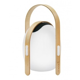 Лампа настольная iLedex Giggle OVS1100-CH WH