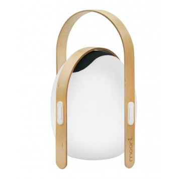 Лампа настольная iLedex Giggle OVS1100-CH WH