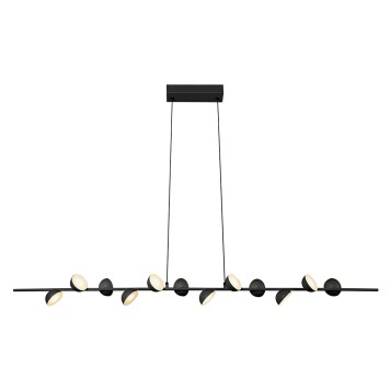 Люстра iLedex Inefable X088136 BK