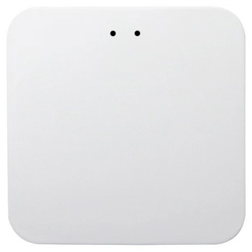 Проводной шлюз управления iLedex VISION48/22 ZGB 1-1