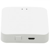 Проводной шлюз управления iLedex VISION48/22 ZGB 1