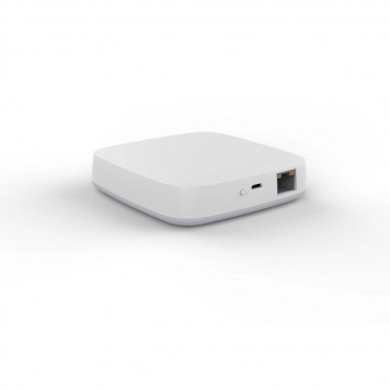 Проводной шлюз управления iLedex VISION48/22 ZGB 2-2