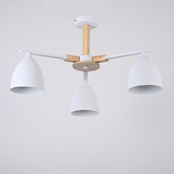 Светильник потолочный ImperiumLoft NOA01 183465-26-2