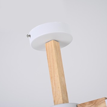 Светильник потолочный ImperiumLoft NOA01 183465-26-6