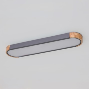 Светильник потолочный ImperiumLoft INN01 193593-26-3