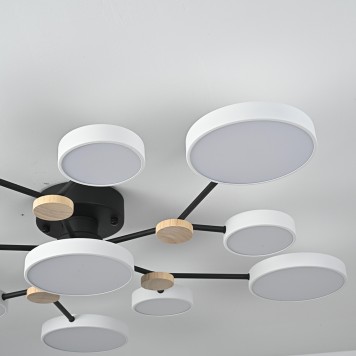 Светильник потолочный ImperiumLoft Gamma01 223764-23-6