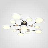 Светильник потолочный ImperiumLoft Gamma01 223764-23