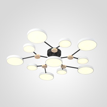 Светильник потолочный ImperiumLoft Gamma01 223764-23