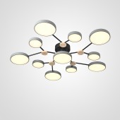 Светильник потолочный ImperiumLoft Gamma01 223767-23