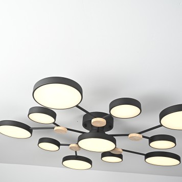 Светильник потолочный ImperiumLoft Gamma01 223770-23-3