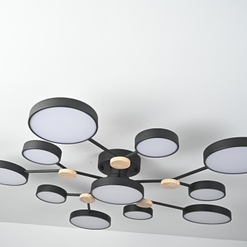 Светильник потолочный ImperiumLoft Gamma01 223770-23-4