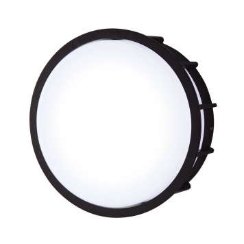 Уличный настенно-потолочный светильник LArte Luce Telma L78055.31