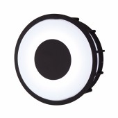 Уличный настенно-потолочный светильник LArte Luce Telma L78056.31