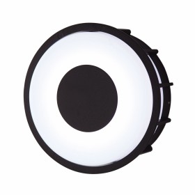 Уличный настенно-потолочный светильник LArte Luce Telma L78056.31