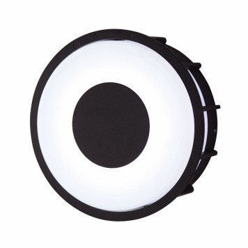 Уличный настенно-потолочный светильник LArte Luce Telma L78056.31