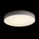 Светильник потолочный Loft It Axel 10001/36 White - мятая коробка