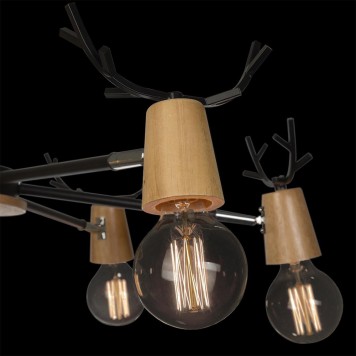 Светильник потолочный Loft It Sven 10024/6 Black-2