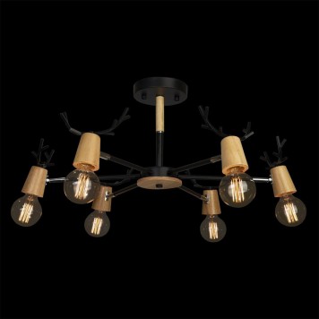 Светильник потолочный Loft It Sven 10024/6 Black-3