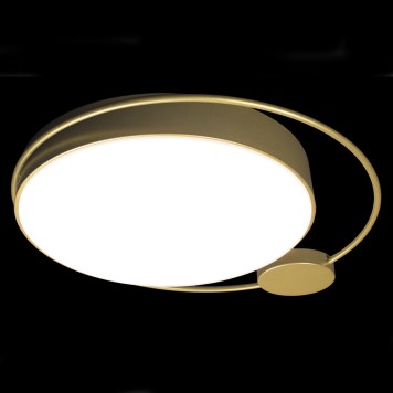 Светильник потолочный Loft It Mike 10063-1