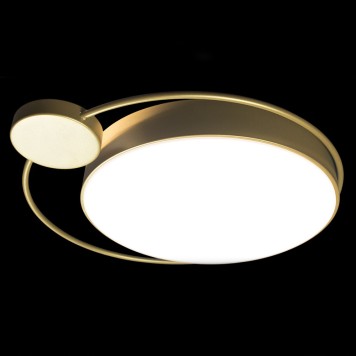 Светильник потолочный Loft It Mike 10063-3