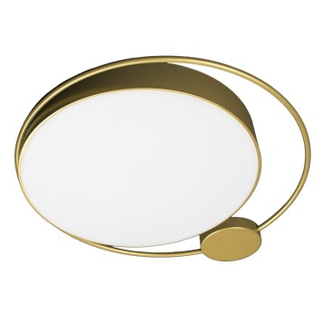 Светильник потолочный Loft It Mike 10063