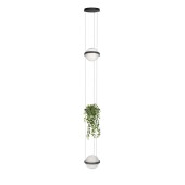 Люстра Loft It Jardin 10121/2P Dark grey Люстра Loft It Jardin 10121/2P Dark grey