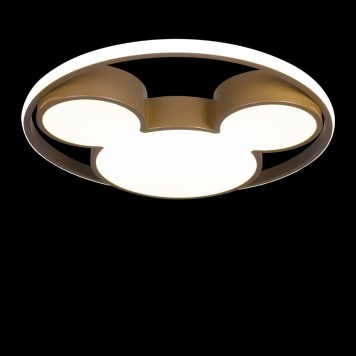 Светильник потолочный Loft It Mike 10167-2