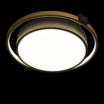 Светильник потолочный Loft It Mike 10169-1