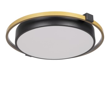 Светильник потолочный Loft It Mike 10170-1