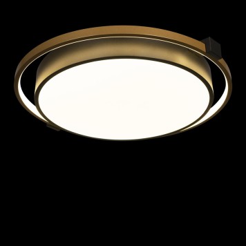 Светильник потолочный Loft It Mike 10170-2