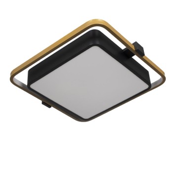 Светильник потолочный Loft It Mike 10171-1