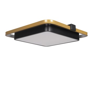 Светильник потолочный Loft It Mike 10171