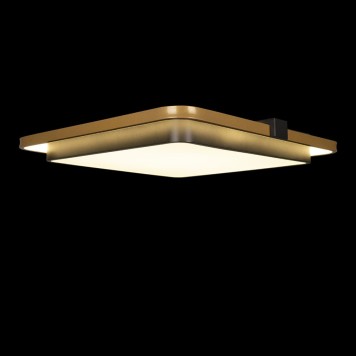 Светильник потолочный Loft It Mike 10172-2