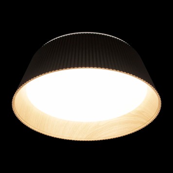 Светильник потолочный Loft It Evans 10224 Black-3