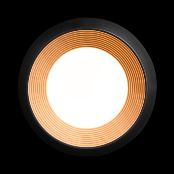 Светильник потолочный Loft It Folk 10255/350 Black-3