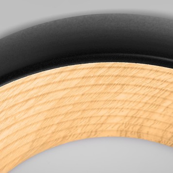 Светильник потолочный Loft It Folk 10255/350 Black-4