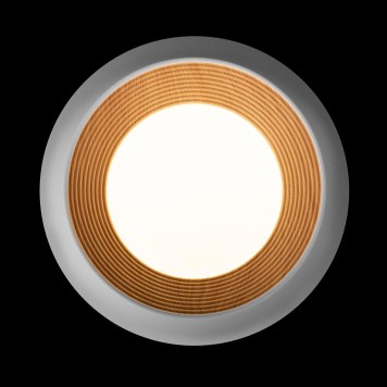 Светильник потолочный Loft It Folk 10255/350 White-2