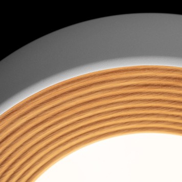 Светильник потолочный Loft It Folk 10255/350 White-4