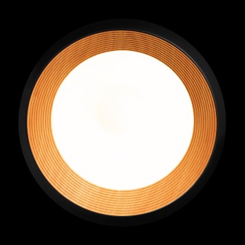 Светильник потолочный Loft It Folk 10255/500 Black-3