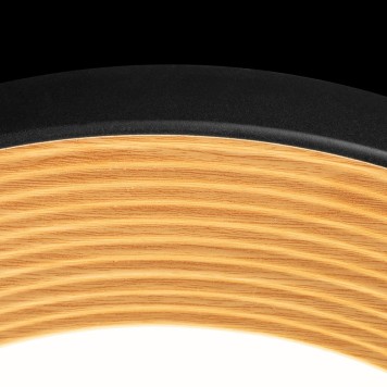 Светильник потолочный Loft It Folk 10255/500 Black-5