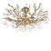 Светильник потолочный Loft It Coral 10351/800C AB
