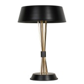 Лампа настольная Lussole LSP-0597