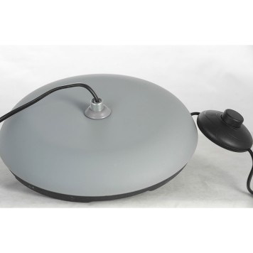 Торшер Lussole LSP-0630-2