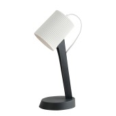 Лампа настольная Lussole Union LSP-0673